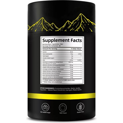 Funelly Gomitas Shilajit Booster M